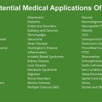 <strong>Cold-Extracting Organic Whole Cannabis Flower With Organic Hemp Seed Oil</strong>