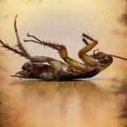 A Major “Oops!” In Smoking & Health Research